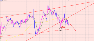 ドル円　様子見相場♪