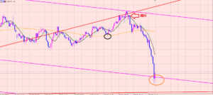 ポンド円　＋１００万円利益確定♫