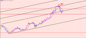 ユーロ円　クロス円利益拡大中♫でも注意・・・