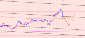 ドル円　利益拡大中♫