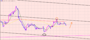 ドル円　相場の絶対必ず１００％♫