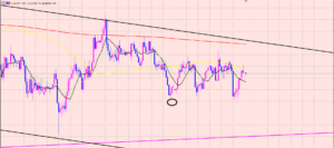 ドル円　ポジションは買いのみ♫