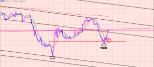 ドル円　注目ポイントでサポート♫