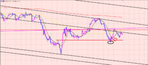 ドル円　買いのリスクヘッジ♫