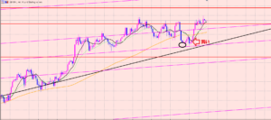 ポンド円　トレードの切り替え♫