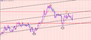 豪ドル円　今日の上昇は♫