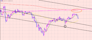 ドル円　たった２つの行動♫