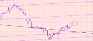 ポンド円　リスクヘッジのやり方♫