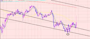 ドル円　ファンダメンタル♫