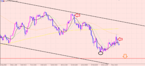 ユーロ円　ポジション状況♫