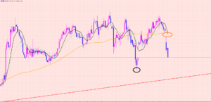 ポンド円　窓開け相場♫