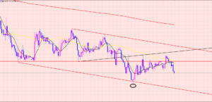 ドル円　年越しポジション♫