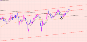 ポンド円　トレンド決定の週♫