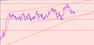ユーロ円　利益拡大中♫油断大敵♫