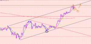 ドル円　ボトムの時間帯♫