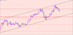 ドル円　ボトム時間まで続落♫