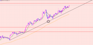 ポンド円　強すぎるトレンド！