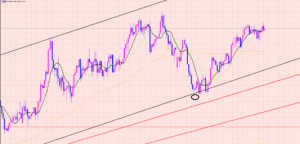 ユーロ円　リスクを許容できるか♫