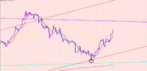 ドル円　今週は○○に注意♫