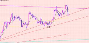 ドル円　狙い通りWトップ♡