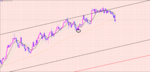 ユーロ円　エントリーできそうな通貨♡