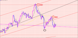 ドル円　損切と利益の比率は１：８～１：２０♡