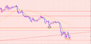 豪ドル円　相場とは？