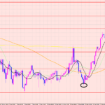 ポンド　サポートライン♡
