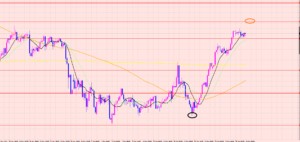 ポンド　サポートライン♡