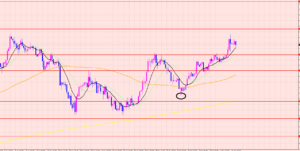 ドル円　様子見相場♡
